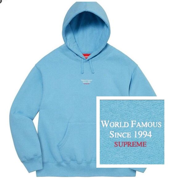 Supreme World Famous Micro Hooded Sweatshirt
